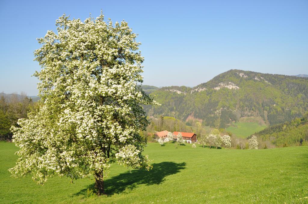 Apart Dirndltal Loich Exteriör bild