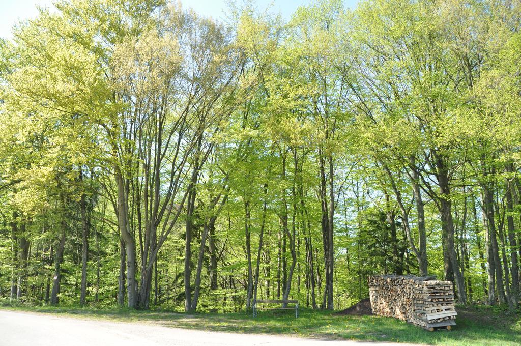 Apart Dirndltal Loich Exteriör bild