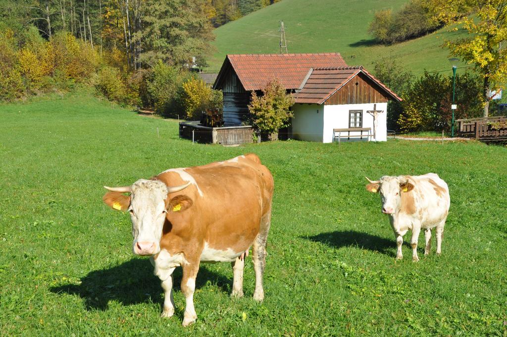 Apart Dirndltal Loich Exteriör bild